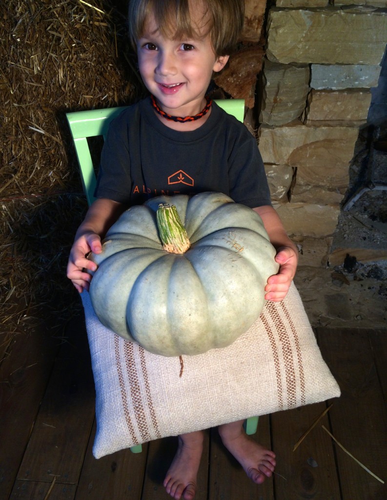 Henry J pumpkin