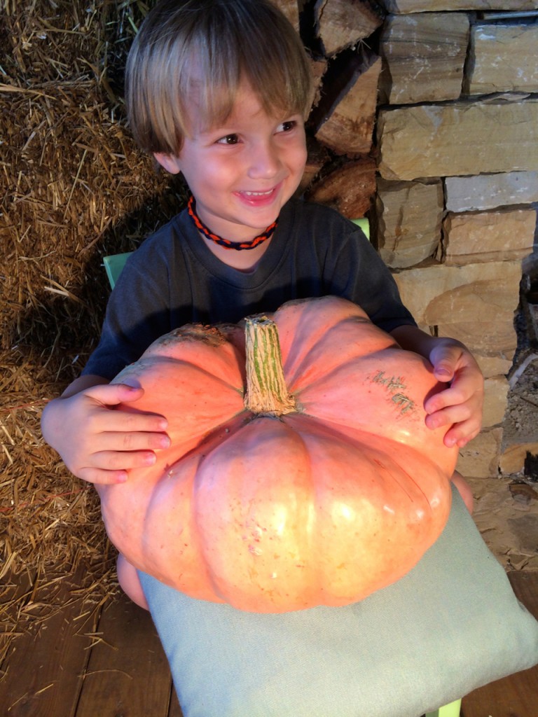 Henry's Pink Pumkin