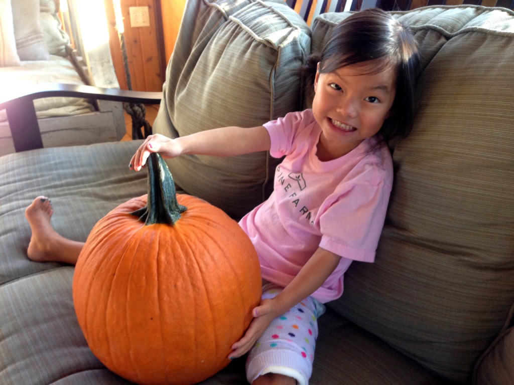 Mei Sims Jacklolantern