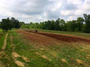 pumkin field prep